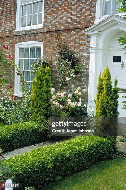 path edged with small box (buxus) hedge leading to house front, august - buxus stockfoto's en -beelden