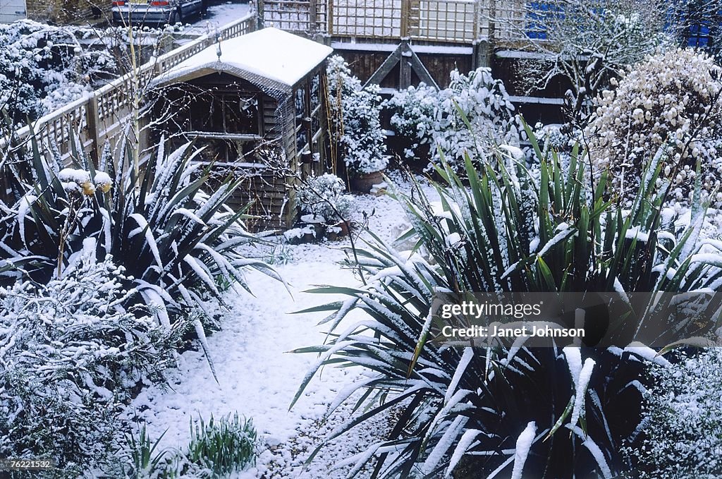 Aerial view of small fenced garden covered in snow, february