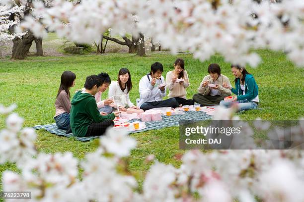 medium group of young people enjoying lunch surrounded with cherry blossoms, front view, side view, japan, differential focus - medium group of objects - fotografias e filmes do acervo