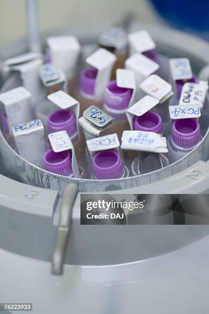 close-up freezing test tubes in a container, differential focus - liquid nitrogen stock pictures, royalty-free photos & images