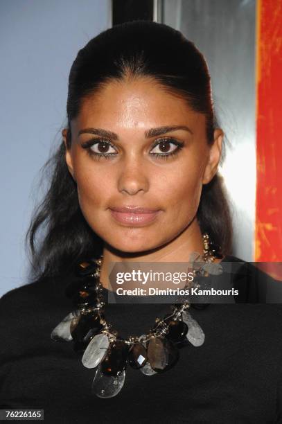 Designer Rachel Roy arrives during the premiere of "The Hunting Party" at the Paris Theater on August 22, 2007 in New York City.