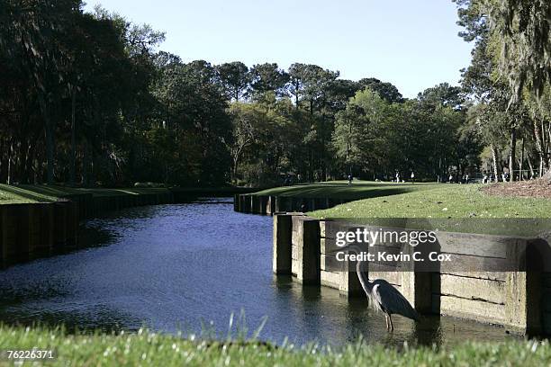 Great Blue Heron watches over the water hazard on the 4th hole during the second round of the MCI Heritage at Harbour Town Golf Links April 15 at...