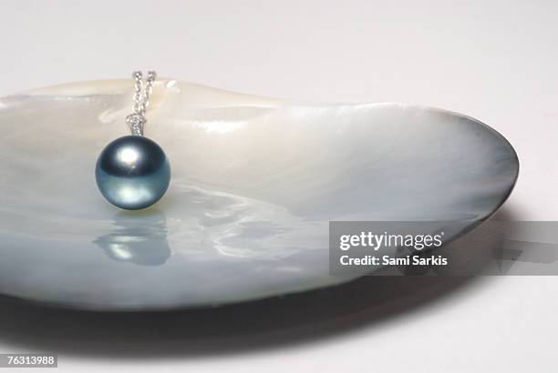 black pearl necklace on oyster shell, close-up - muschel close up studioaufnahme stock-fotos und bilder