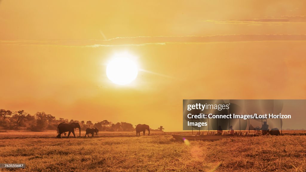 Tourists on boat watching elephants by river, Chobe national park, Zambia, Africa