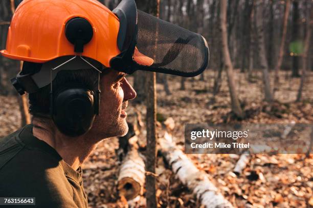 portrait of male logger in orange hard hat gazing in sunlit autumn forest - waldarbeiter stock-fotos und bilder