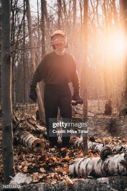 male logger carrying chainsaw in sunlit autumn forest - man with chainsaw stock pictures, royalty-free photos & images