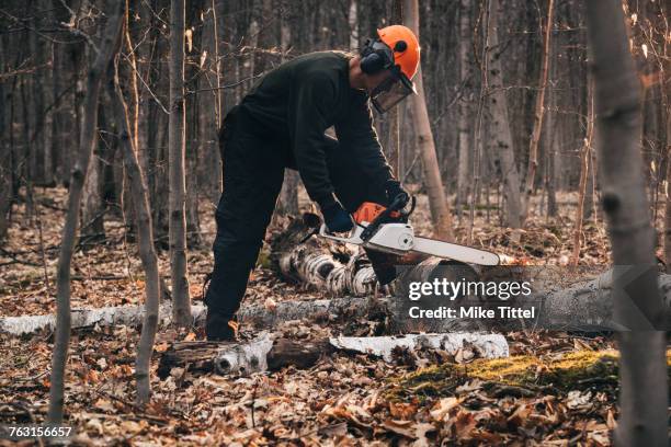 mature man chainsawing tree trunk on autumn forest floor - sawing stock-fotos und bilder