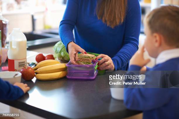 cropped view of mother packing her school childrens lunch box in kitchen - merendeira imagens e fotografias de stock