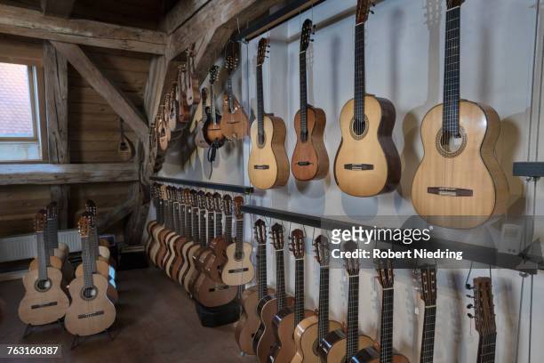 guitars on display at music store - guitar shop stock pictures, royalty-free photos & images