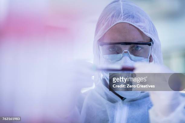 Laboratory worker examining test tube
