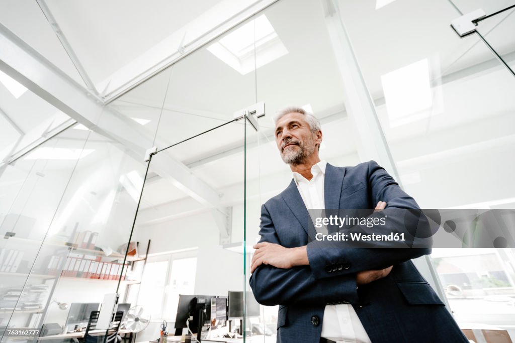 Confident mature businessman in office