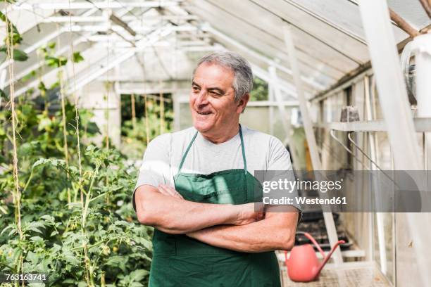 smiling senior man in greenhouse - proud old man stock-fotos und bilder