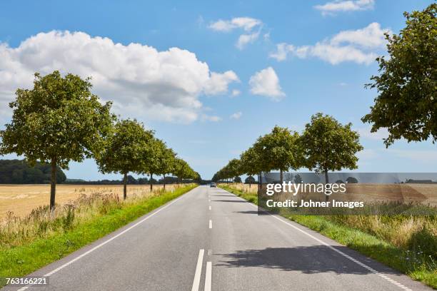 road in rural area - denmark road stock pictures, royalty-free photos & images