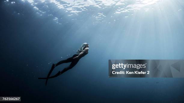 underwater view of female free diver moving up towards sun rays, new providence, bahamas - freitauchen stock-fotos und bilder