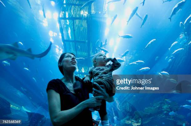 mother with toddler son in aquarium - arabian baby stock-fotos und bilder