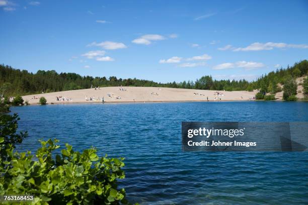 blue sea and beach - lagoon forest stock pictures, royalty-free photos & images