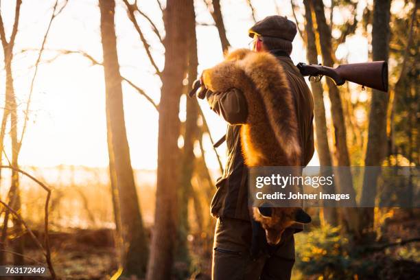 hunter carrying fox - silver fox man stock pictures, royalty-free photos & images