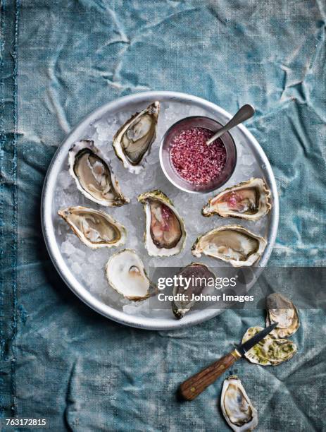 Oysters on ice