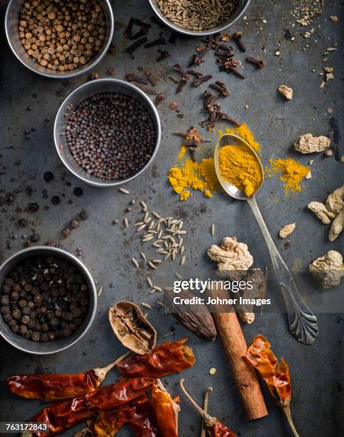 Spices On Grey Background High-Res Stock Photo Getty Images