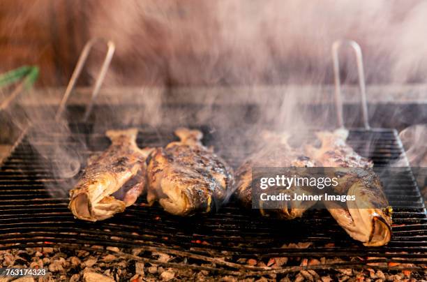 fish on grill - croatia food stock pictures, royalty-free photos & images