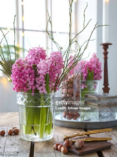 pink hyacinths in vase - hyacinth stock pictures, royalty-free photos & images