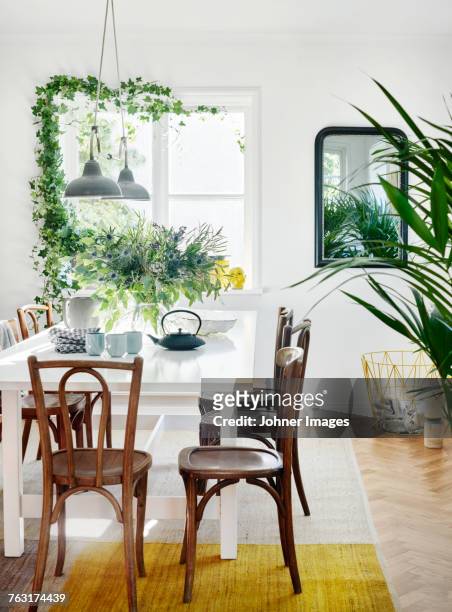 dining room - topfpflanze stock-fotos und bilder