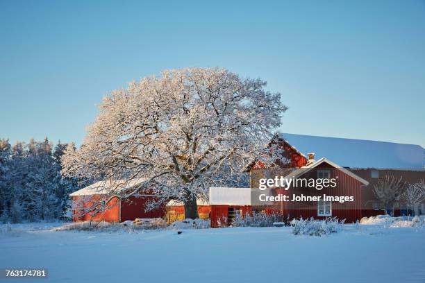 falun red houses in winter scenery - johner christmas foto e immagini stock