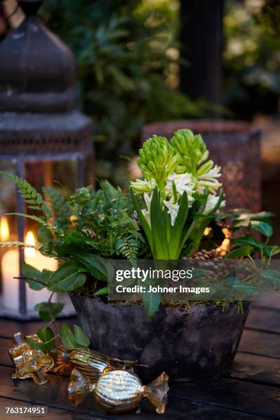 creative flower decorations - cesta de navidad fotografías e imágenes de stock