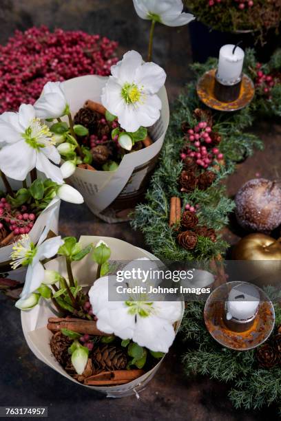 creative flower decorations - johner christmas bildbanksfoton och bilder