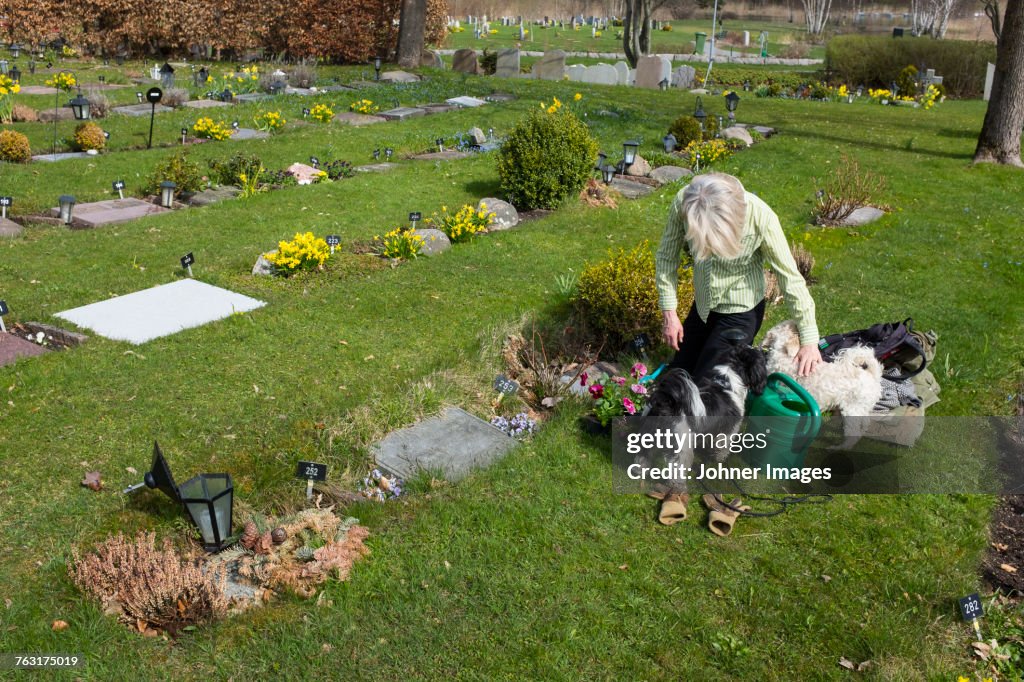 Woman with dogs in pet cemetery