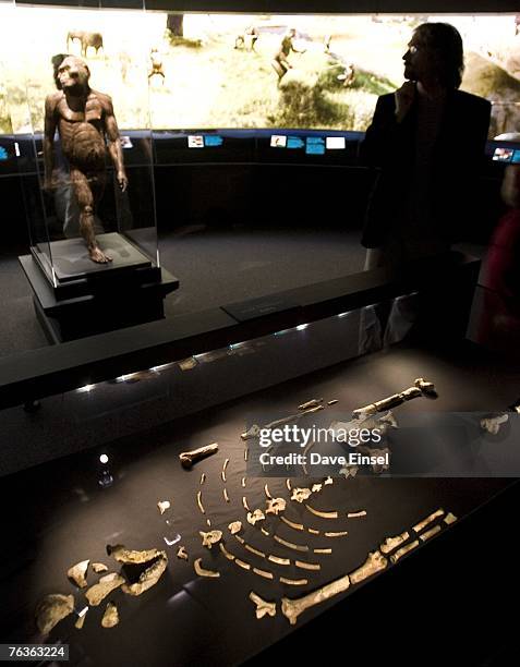 Lucy Fossil Photos And Premium High Res Pictures Getty Images Lucy Fossil Photos And Premium High Res Pictures Getty Images