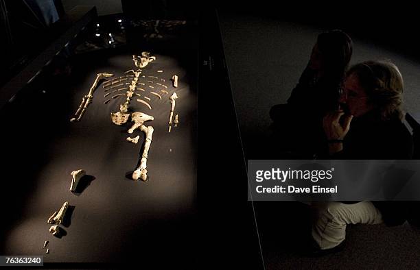 Visitors view the 3.2 million year old fossilized remains of "Lucy", the most complete example of the hominid Australopithecus afarensis, at the...