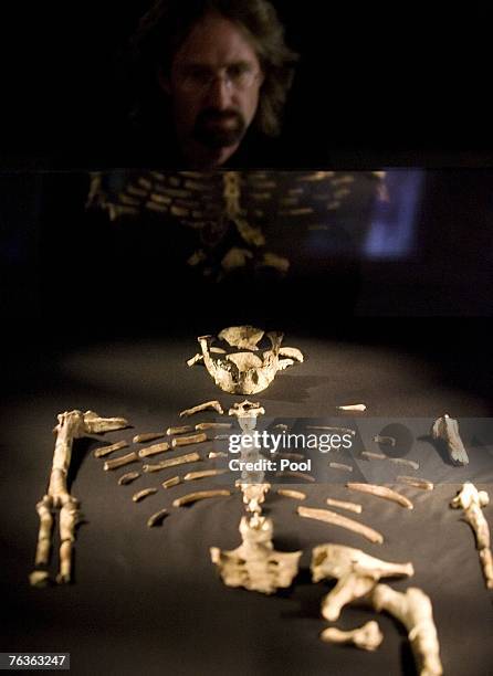 Visitor looks at the 3.2 million year old fossilized remains of "Lucy", the most complete example of the hominid Australopithecus afarensis, at the...