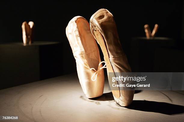 26 Julie Rrap Exhibition Photos & High Res Pictures - Getty Images