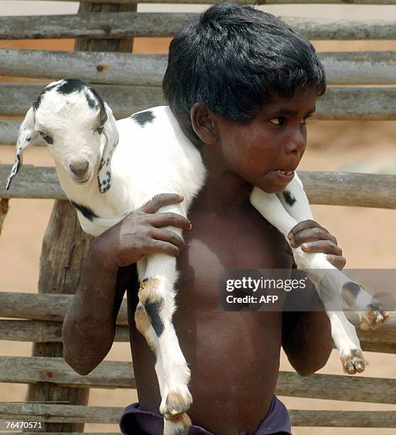 An Indian child from the Chenchu Tribe carries a goat across his shoulders in the village of Appapoor in Nalamalla Forest, some 200kms from...