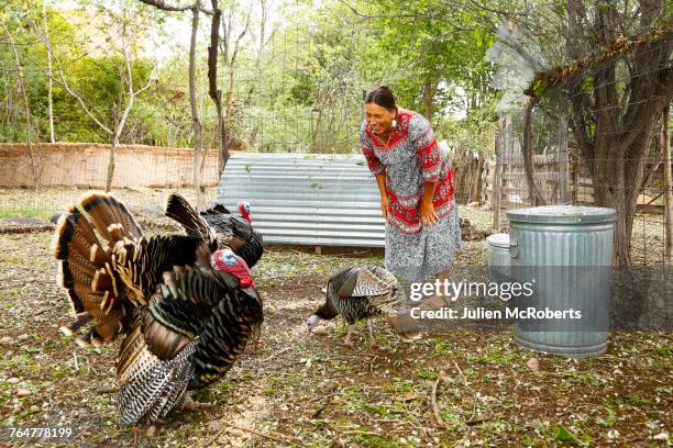 mixed race woman smiling at turkeys - mixed farming stock-fotos und bilder