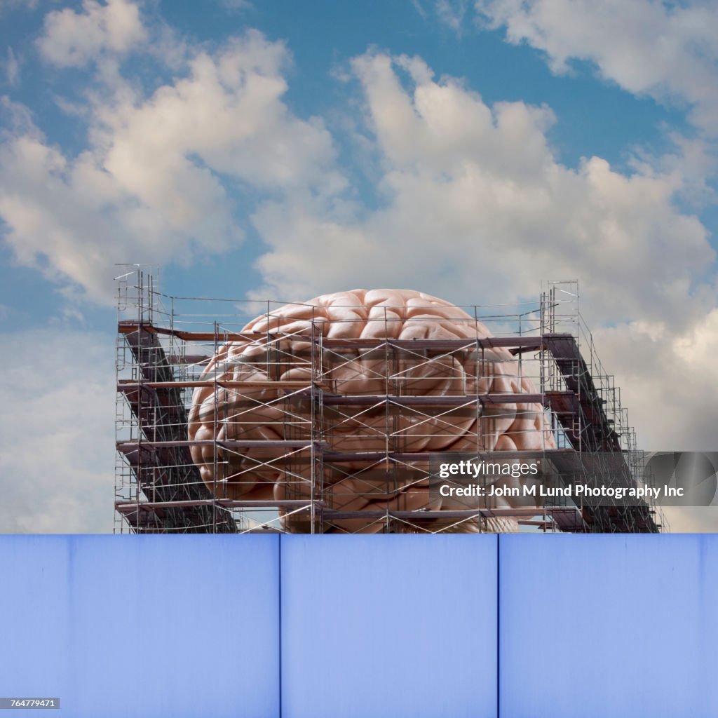 Scaffolding around brain under construction