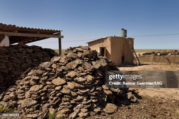 pile of pressed cakes of dried camel and sheep dung used for fuel on a farm near shymkent kazakhstan - push cake stock pictures, royalty-free photos & images