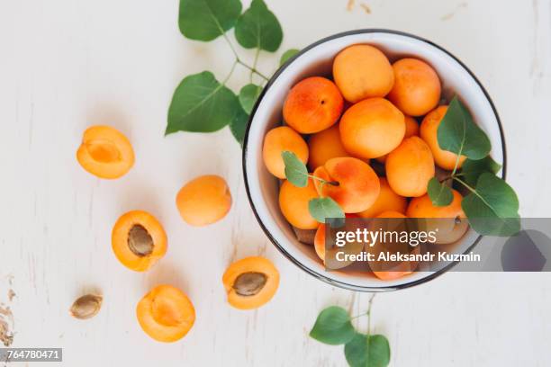 apricots in bowl - aprikose stock-fotos und bilder