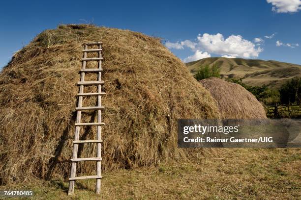 Chilli Ladder 77 Chilik Stock Photos, High-Res Pictures, and Images - Getty Images