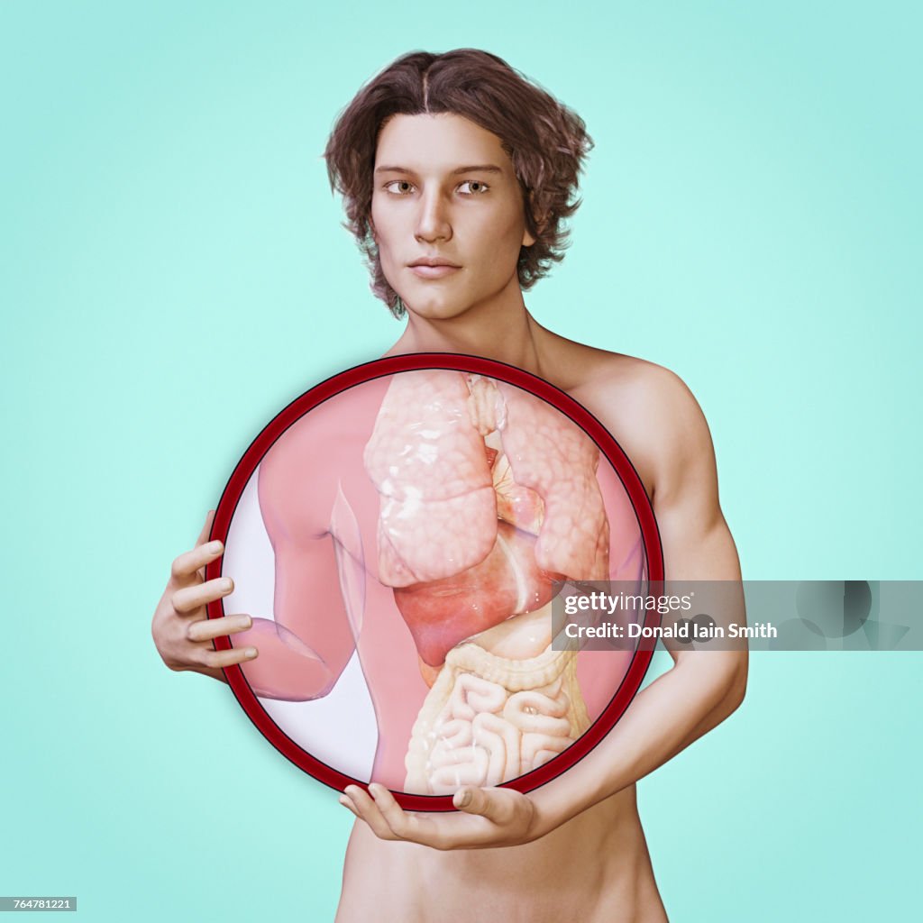 Internal organs of man