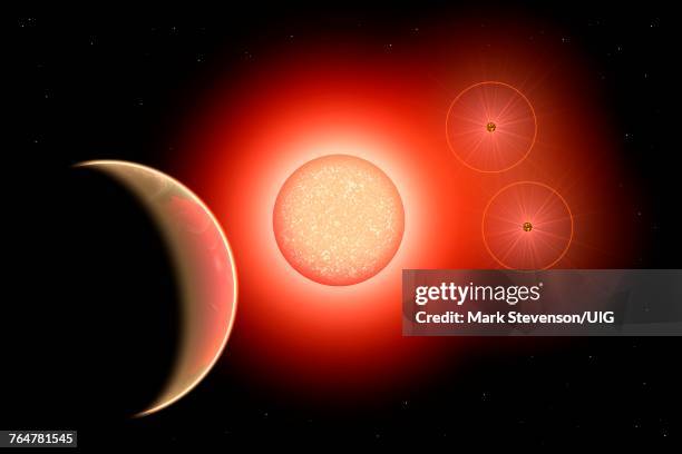 Rainforest 600×300×450 Hd 188753 A Hierarchical Triple Star System High-Res Stock Photo