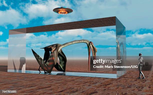 275 Suspended Animation Stock Photos and High-Res Images - Getty