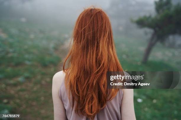 rear view of caucasian woman with red hair - roodhoofd stockfoto's en -beelden