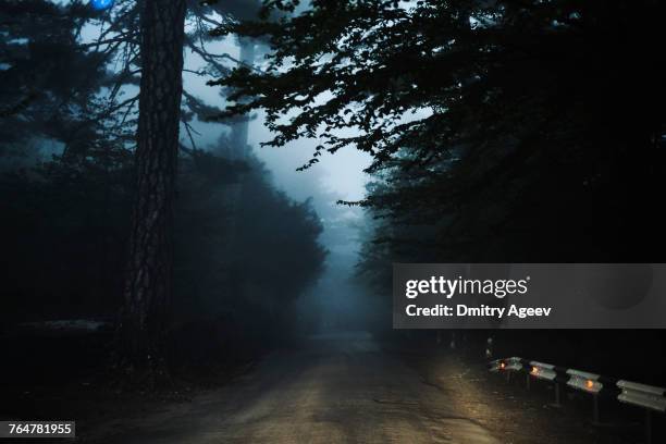 road in forest - dark forest stock-fotos und bilder