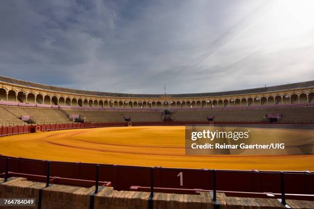 golden groomed sand and empty stands at the seville bullfighting ring - fighting ring stock pictures, royalty-free photos & images