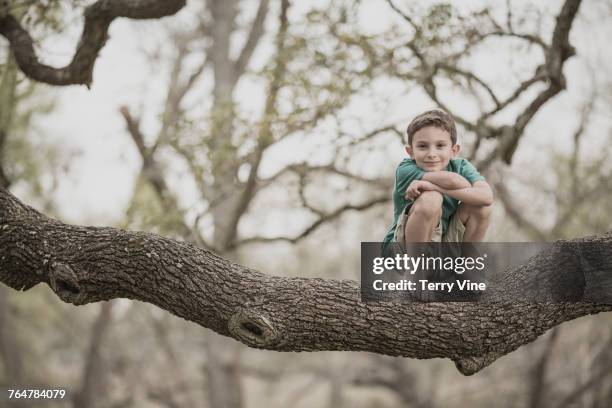 mixed race of boy crouching on tree branch - bare feet male tree stock pictures, royalty-free photos & images