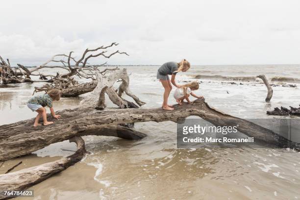 caucasian by and girls examining driftwood on beach - jekyll island stock pictures, royalty-free photos & images