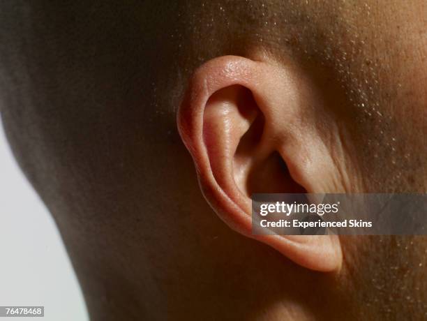 close-up of man's ear - shaved-buzz-cut-back-of-head photos et images de collection