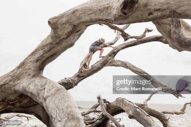 caucasian girl climbing on driftwood on beach - bois flotté photos et images de collection